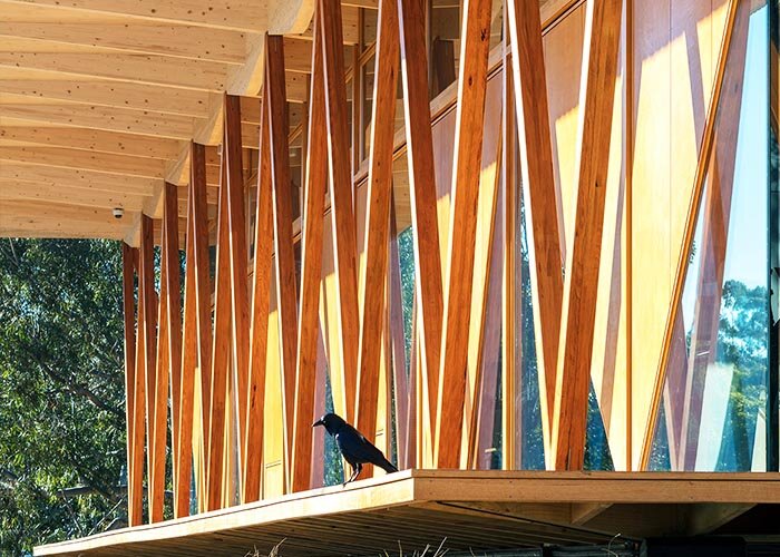 Foto: Murray Fredericks